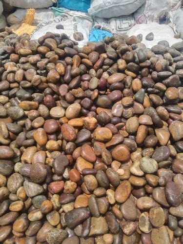 Brown River Pebble Thickness 25 Mm At Rs 6 Kg In Chennai ID