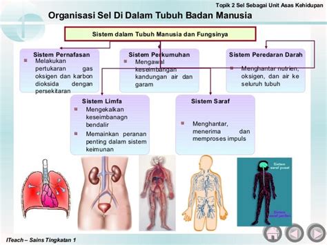 Sains Tingkatan 1 Bab 3 Nota Ringkas Ringkasvlog