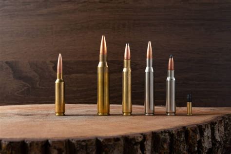 Comparing The 6 5 Creedmoor To 5 Similar Cartridges Backfire