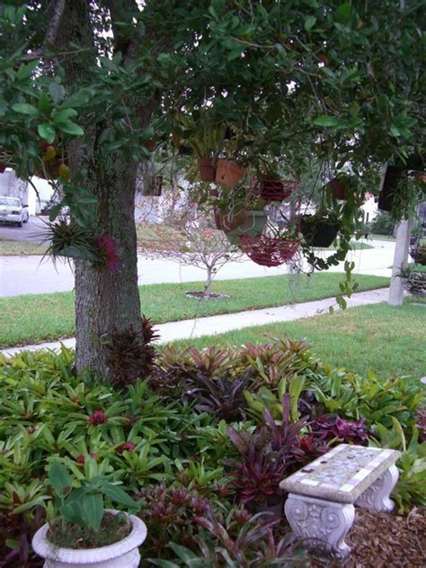 Landscaping ideas around oak trees ~ landscape design plans