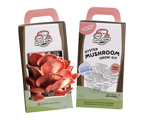 Mushroom Growing Kit Boxes Grow Mushrooms Using Custom Printed