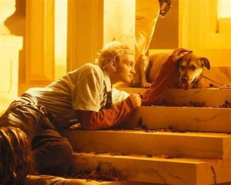 Layne Staley And Jerry Cantrells Dog Sunshine Alice In Chains