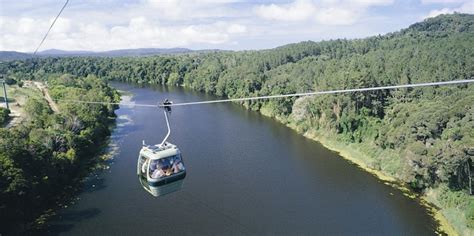 Skyrail Rainforest Cableway, Cairns - Everything Australia