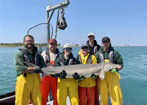 Great Lakes Fungi On Twitter RT FishBio Briggs BIG FISH ALERT