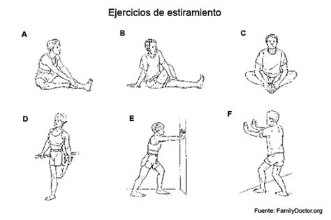 Atletismo C P Enrique De Osso Ejercicios De Calentamiento Y Estiramiento