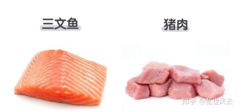 红肉和白肉有什么区别？这么吃对身体最好！ 知乎