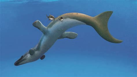 Prehistoric Dolphins