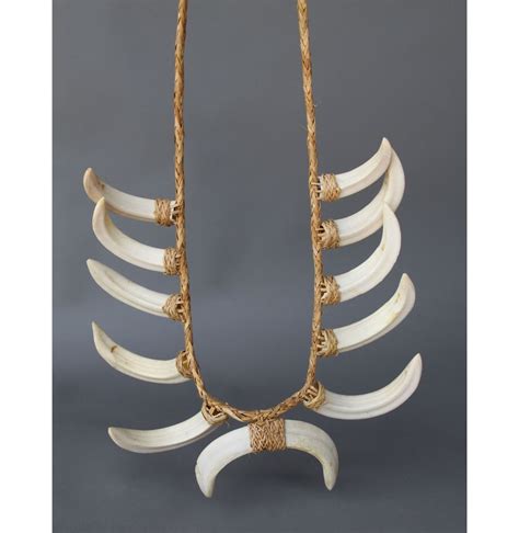 Wild Boar Tusk Necklace