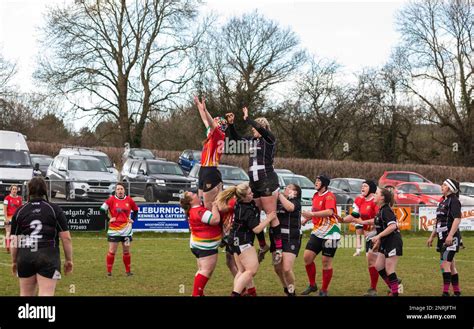 Launceston Rfc Hi Res Stock Photography And Images Alamy