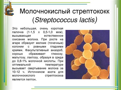 staph infection oozing comprehensive guide  symptoms treatment