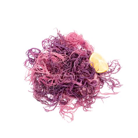Irish Sea Moss - (Purple) - St. Lucia - NY Spice Shop - Buy Online