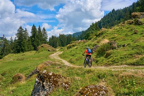 Sulla Ciclovia Dei Parchi Gustare La Calabria In Bici Calabria Terra