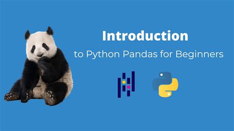 Python 🐍 Pandas 🐼 Tutorial For Beginners Youtube