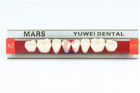 MARS Pontics M28L A2 New Citizens Dental Supply And General Merchandise