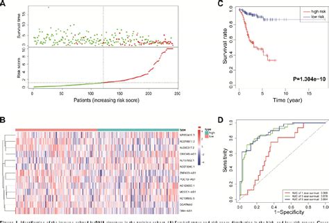 Figure From Development Of A Novel Immune Related Lncrna Signature As