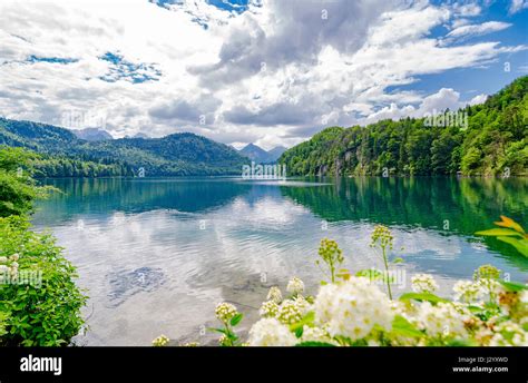 The Alpsee Is A Lake In Bavaria Germany Its Located Near