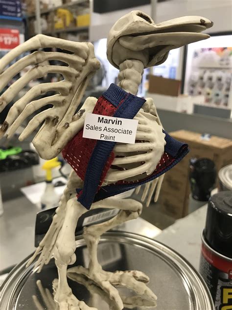 Meet Marvin, the paint desk mascot : r/Lowes