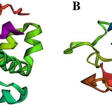 The representative 3D structure models of lysozyme (A), and endolysin... | Download Scientific ...