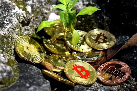 Come Investire In Criptovalute Guida Per Principianti 2024