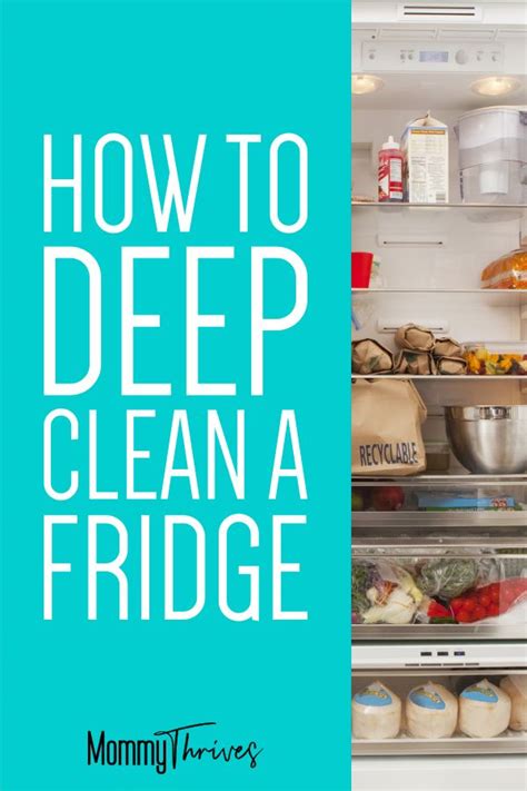 I Am Teaching You How To Deep Clean Your Fridge So You Can Keep Your