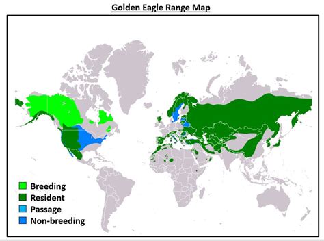 Where Do Golden Eagles Live