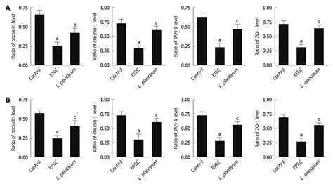 Protective Effects Of Lactobacillus Plantarum Against Epithelial