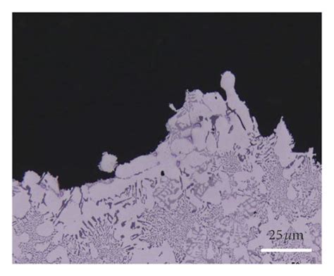 Cross Sections Beneath The Fracture Surface Of M1s Alloy A T6