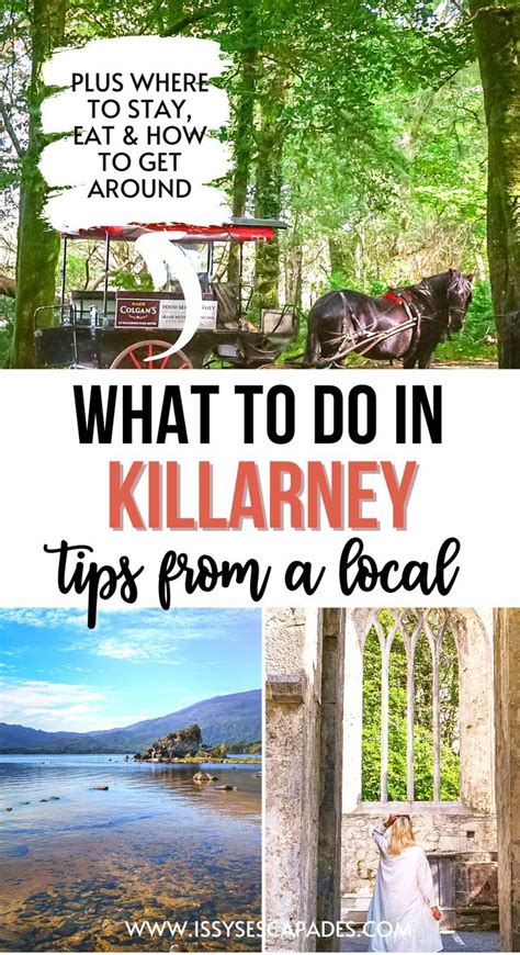 Explore Killarney Top Activities For A Memorable Irish Adventure Artofit