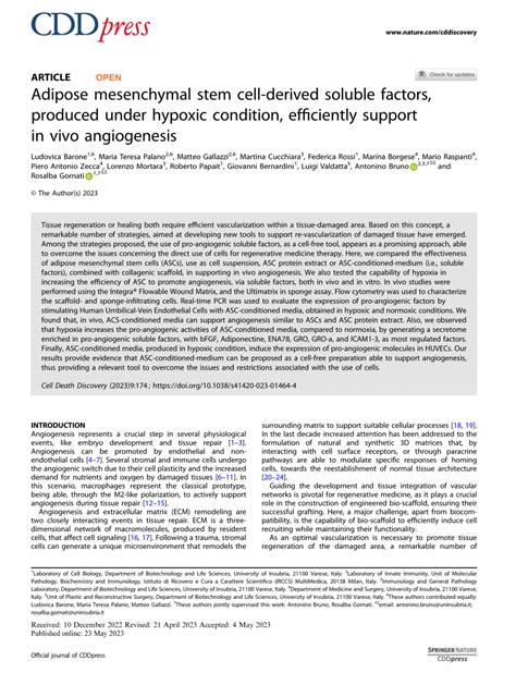 Pdf Adipose Mesenchymal Stem Cell Derived Soluble Factors Produced