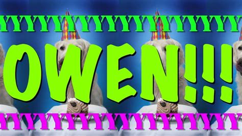 Happy Birthday Owen Epic Happy Birthday Song Youtube