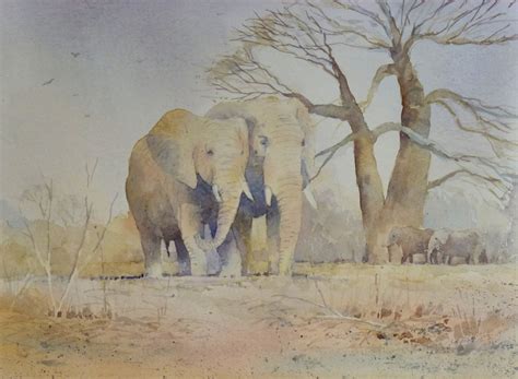 Malcolm Coils: Ndlovu paintings- African Bantu word for elephant