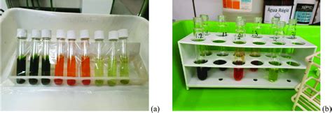 Two Consecutive Stages Of Lipid Extraction Of Three Microalgal Species