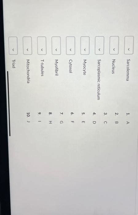 Solved Question 1 25 Points Match The Structures