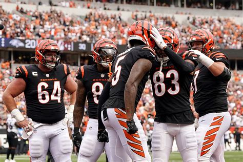 Bengals Hc Officially Announces Tee Higgins Status For Week Vs