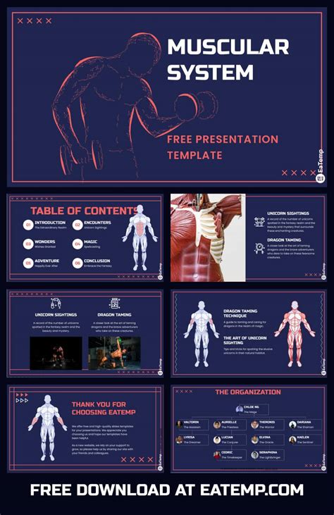 Muscular System Powerpoint Presentation Template Google Slides Theme