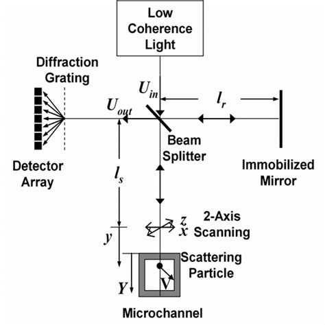 Schematic Of Spectral Domain Doppler Optical Coherence Tomography With