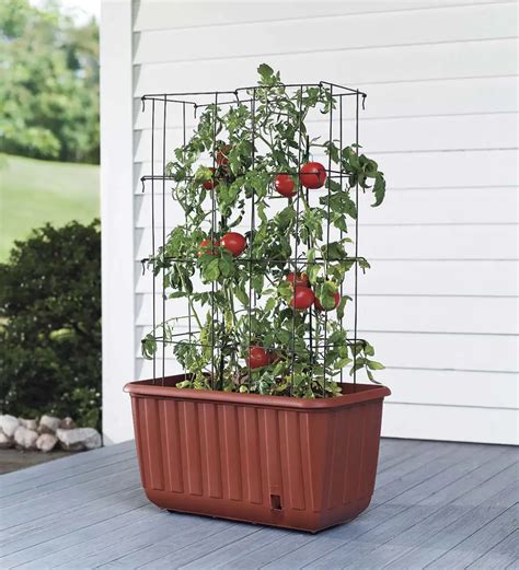 This Self Watering Tomato Planter With Tower Makes It Easier Than Ever To Grow Healthy