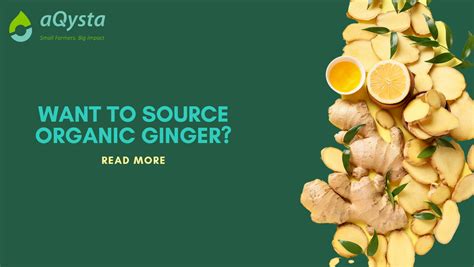 Bio Organic Ginger