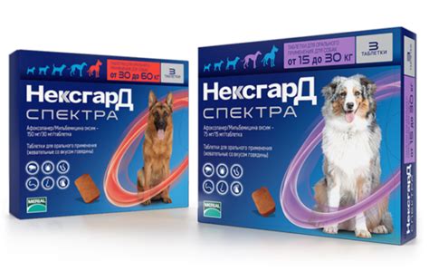 Nexgard Spectra - TACOMA VET MEDICATIONS