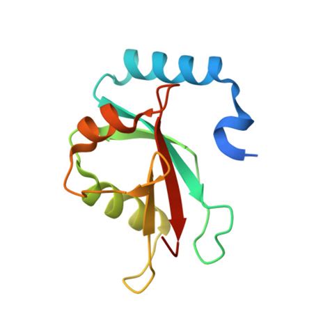 RCSB PDB 1UGM Crystal Structure Of LC3