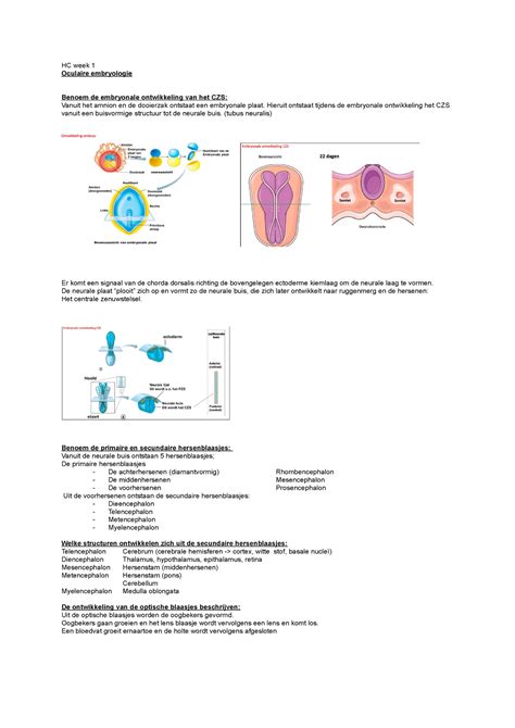 HC 1 Oculaire Embryologie HC Week 1 Oculaire Embryologie Benoem De