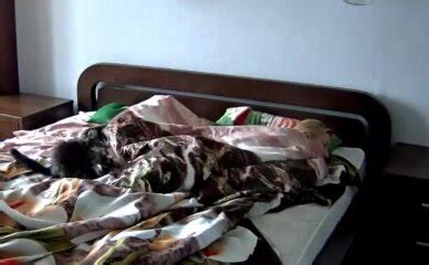 FIT BLONDE HUMPS STUFFED TOY And CUMS TWICE ThisVid