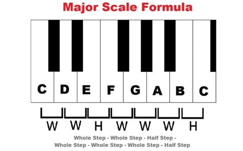 Music Scale Notes What Is A Musical Scale Мusic Gateway