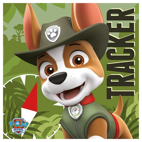 Paw Patrol Tracker Canvas Print 40cm X 40cm Wdc95931 Character Brands