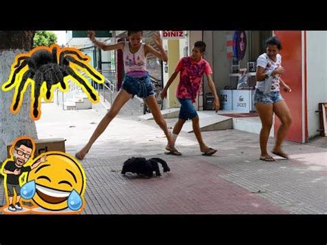 PEGADINHA ARANHA GIGANTE - ASSUSTANDO PESSOAS - Giant Spider Prank #4 | Giant spider, Spider ...