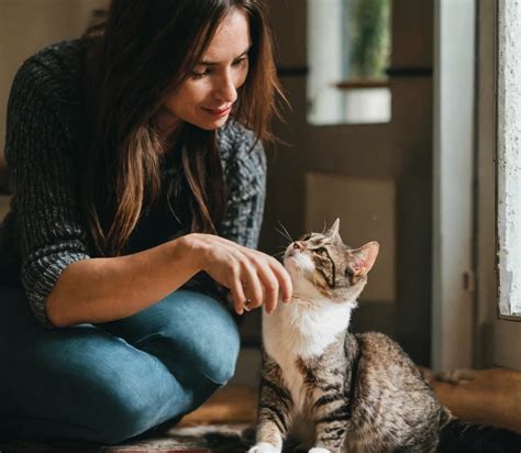 Understand Your Cat S Behavior