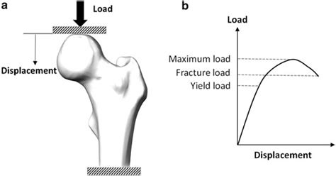 2 Typical Bone Stress Strain Curves Download Scientific Diagram