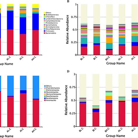 Analysis Of Gut Microbial Composition And Relative Abundance Based On