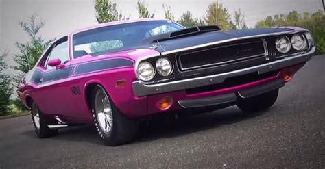 1970 Dodge Challenger Ta Panther Pink Mopar Muscle Car Dodge