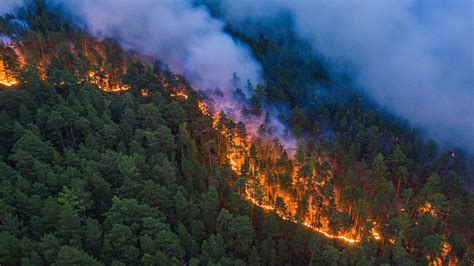 Photos Show Scale Of Massive Fires Tearing Through Siberian Forests